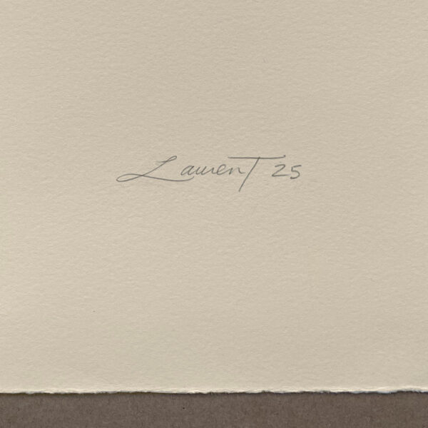 The Immaculate Heart - Image 4